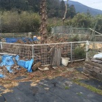 岐阜県池田町の樹木の解体と整地工事