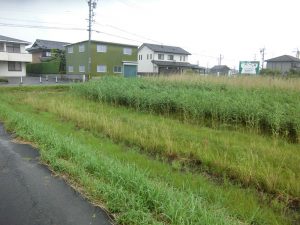 1.施工前の 田んぼに雑草が生い茂った状態。 1.施工前の 田んぼに雑草が生い茂った状態。