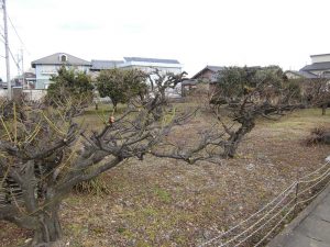 1.施工前の状態