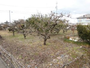 2.施工前の状態