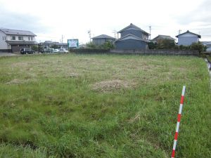 2.草刈り完了。 2.草刈り完了。