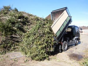 6.処分場での樹木処分