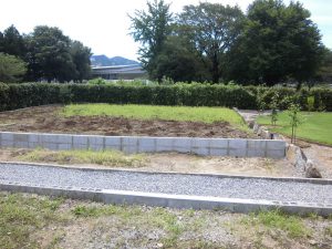 9.畑土への入れ替え完了して数週間後。