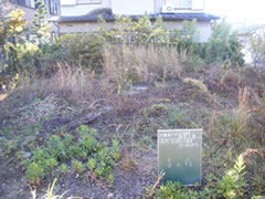 荒地などの整地作業1