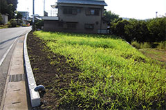 荒れ地の整地ならびに畑の土入れ替え工事(岐阜県可児市)