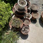 プランター土や植木鉢の土の処分