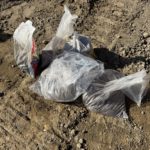 【園芸土処分】もう園芸しない植木鉢の土を持込みました