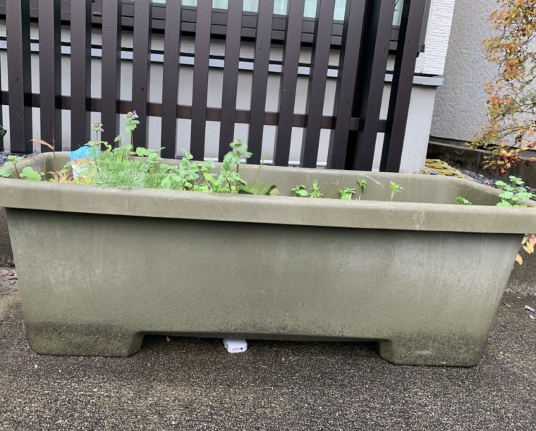 「プランター残土の処分を依頼する前に計測すべきサイズと土の状態」